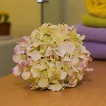2 Bedroom Apartment/parking/market 아파트 *